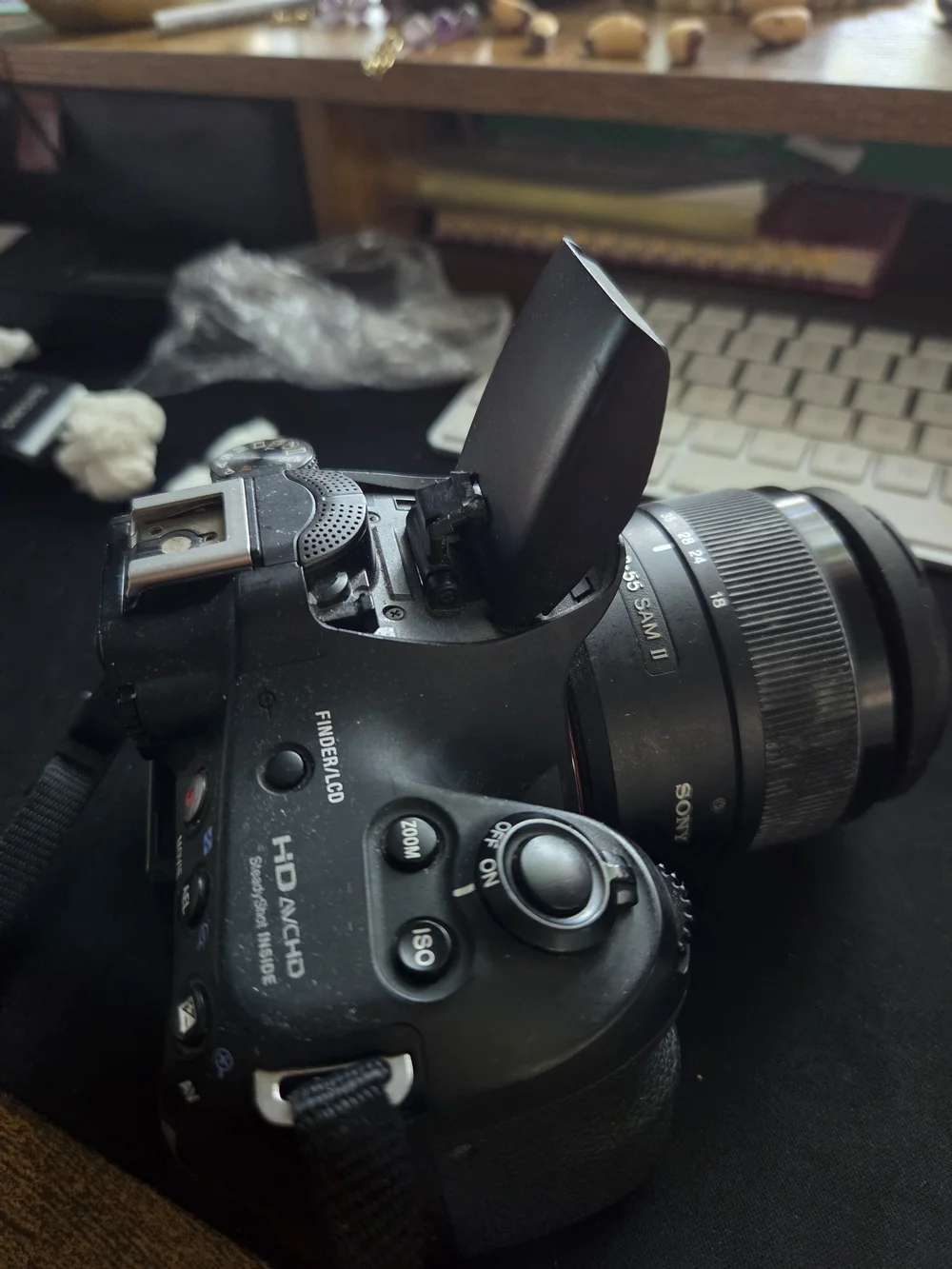 Sony Black DSLR Camera with Built-in Flash